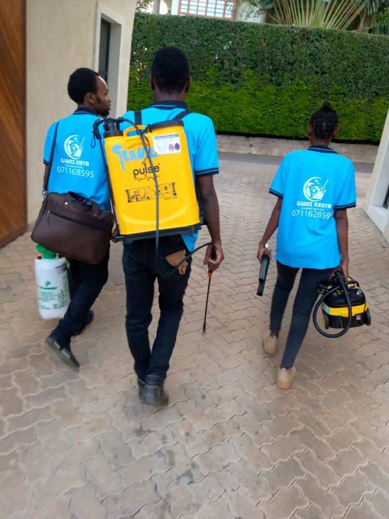 IMG_20241004_180525_302