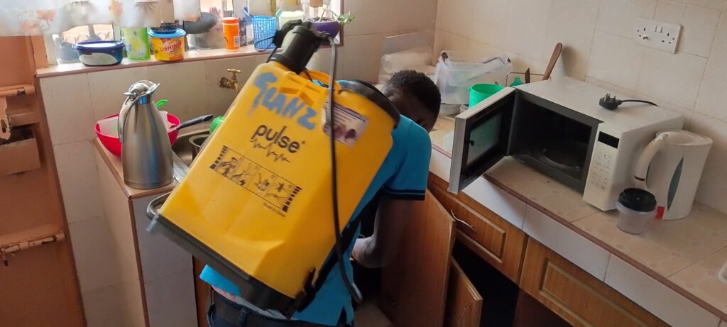 IMG_20241214_112800_037